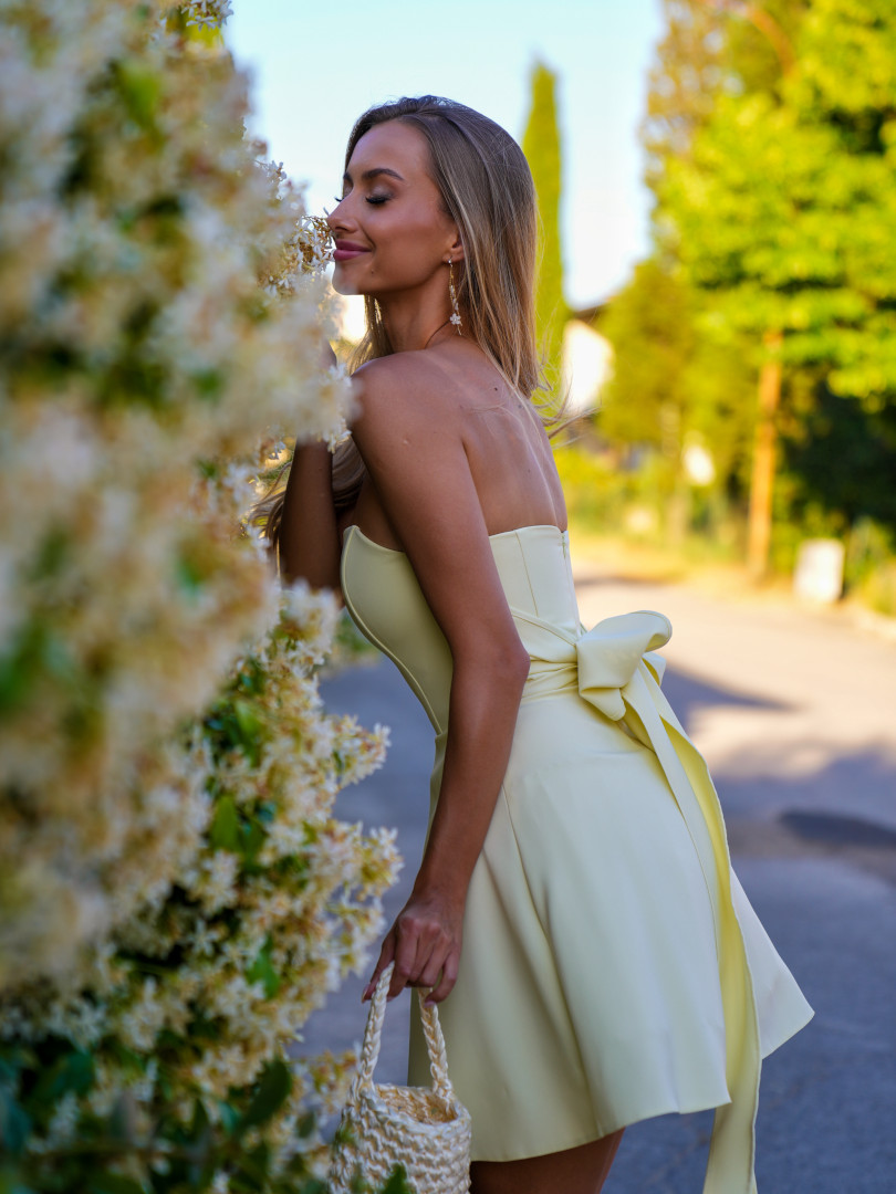 Venice - flared buttercream mini length dress with decorative bow - Kulunove image 2